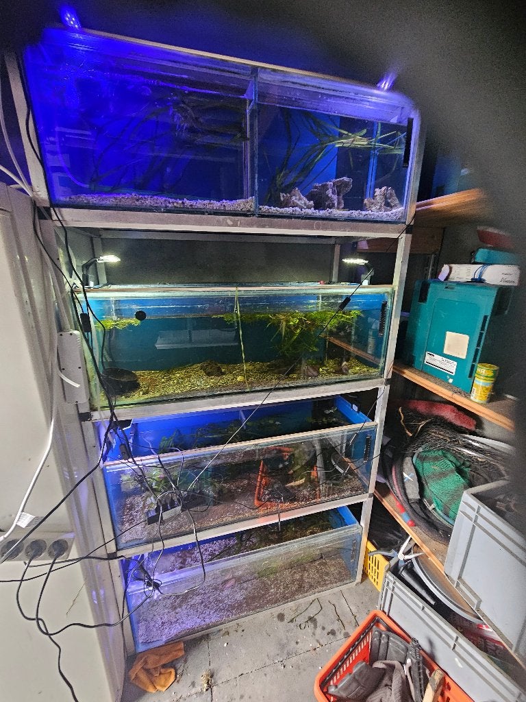 Aquarium stelling 4 laags, Ophalen, Zo goed als nieuw, Leeg aquarium