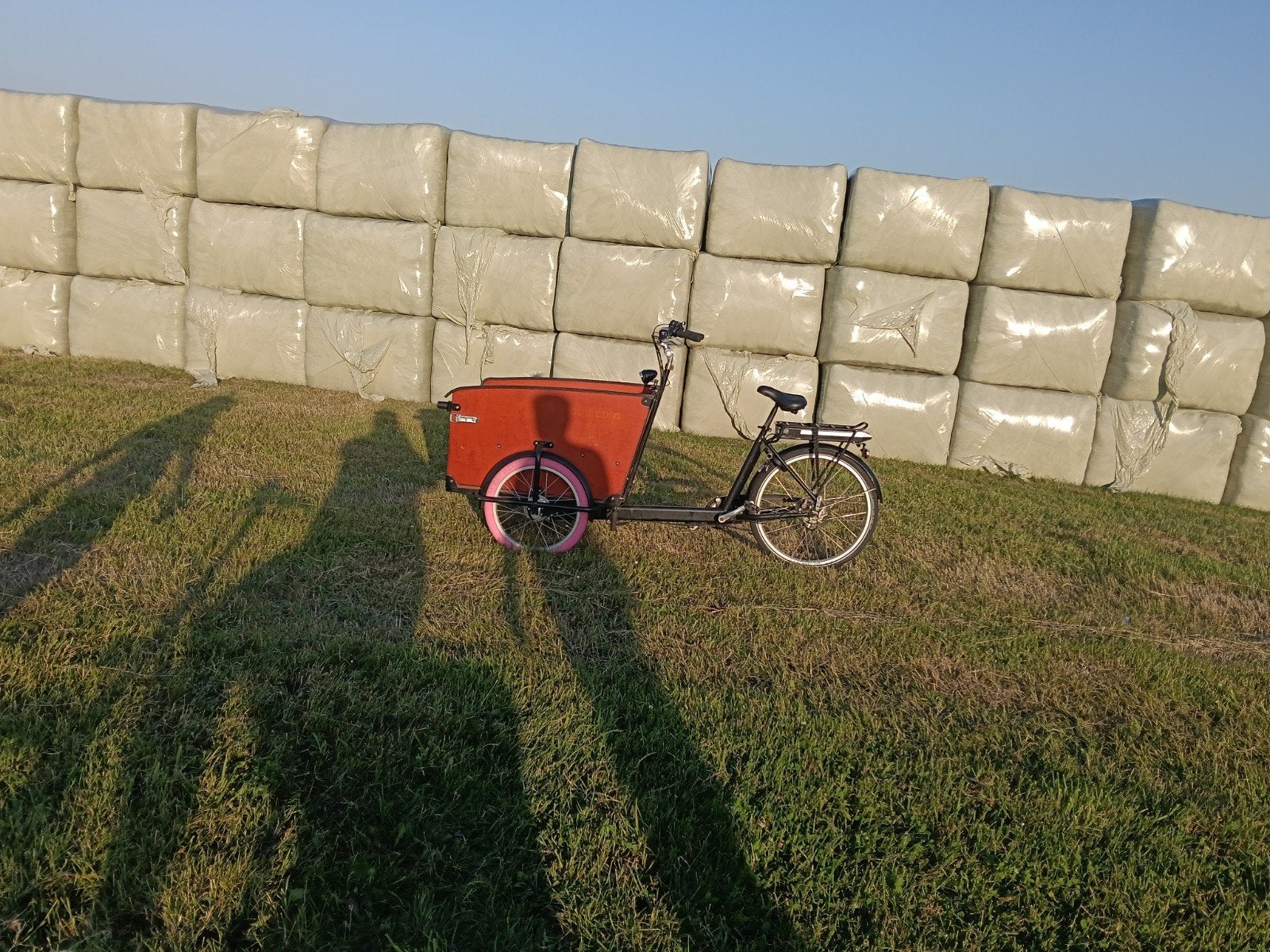 Babboe electrische bakfiets (dog-e), Fietsen en Brommers, Fietsen | Bakfietsen, Ophalen, Gebruikt
