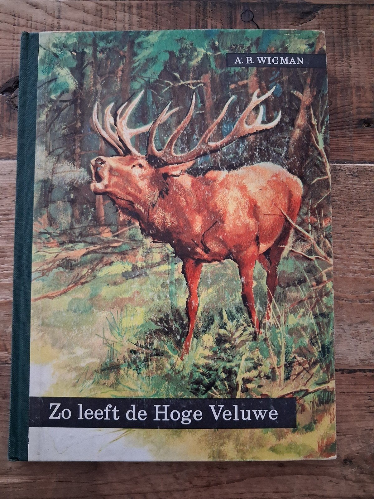 A B Wigman - Zo leeft de Hoge Veluwe, Ophalen of Verzenden, Gelezen, Plaatjesalbum