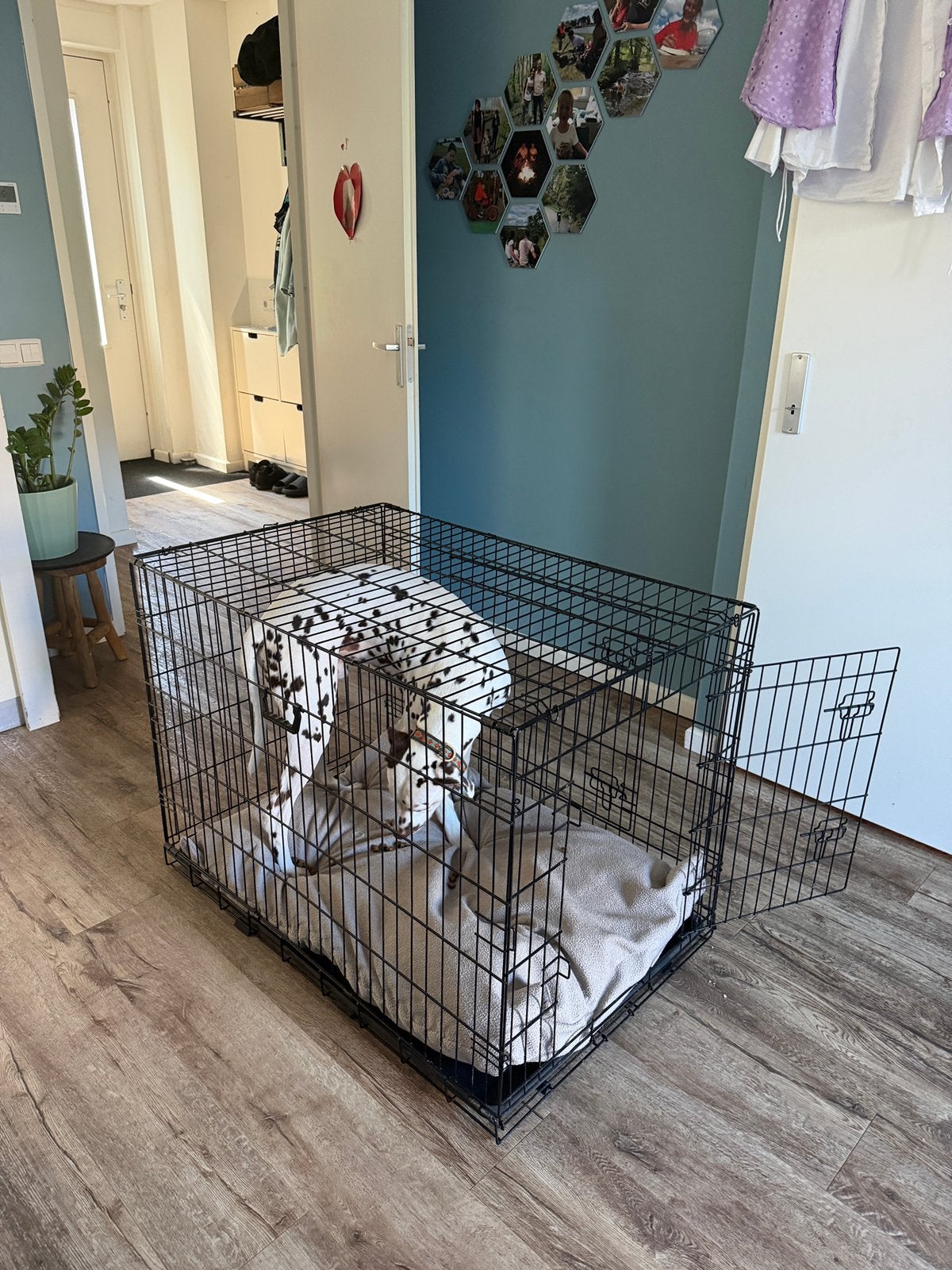 hondenbenches, Dieren en Toebehoren, Ophalen, Zo goed als nieuw