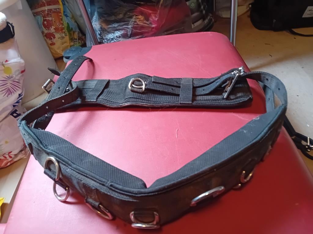 Longeer schoftje maat shetlander, Ophalen of Verzenden, Gebruikt, Overige soorten