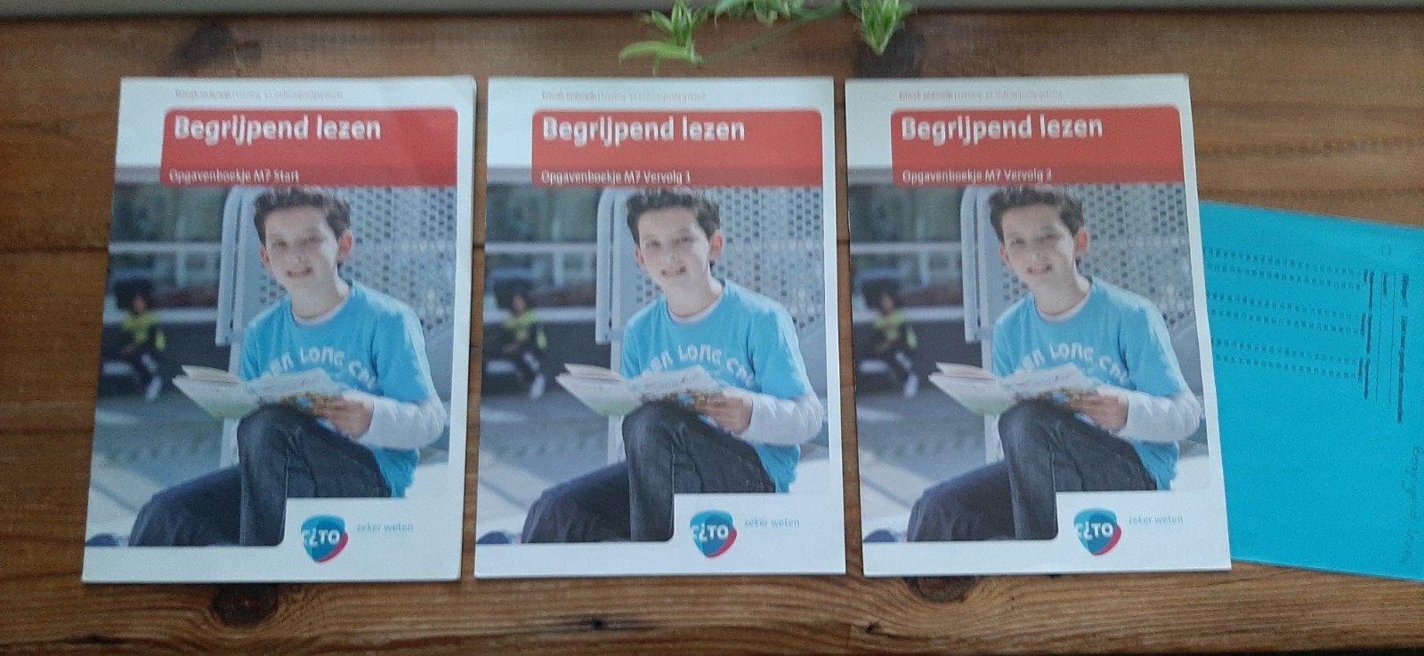 BEGRIJPEND LEZEN CITO M7, Ophalen, Zo goed als nieuw, Overige niveaus, Nederlands