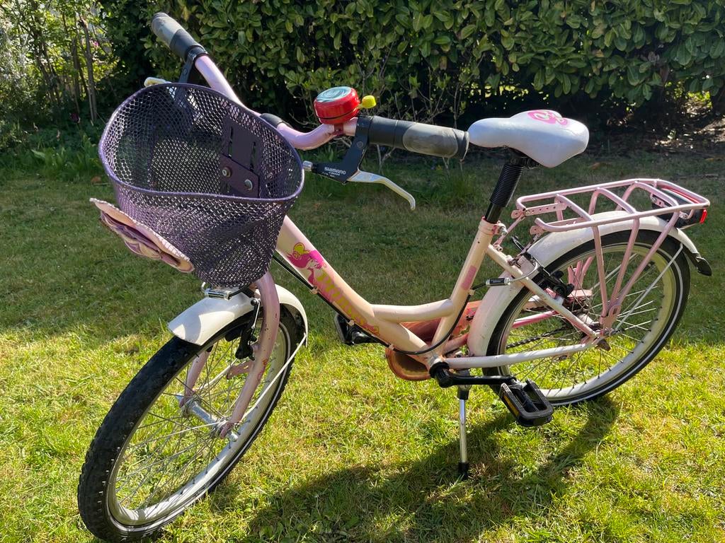Loekie Princess kinderfiets - Roze met mandje, Ophalen, Gebruikt, Velgrem, Handrem