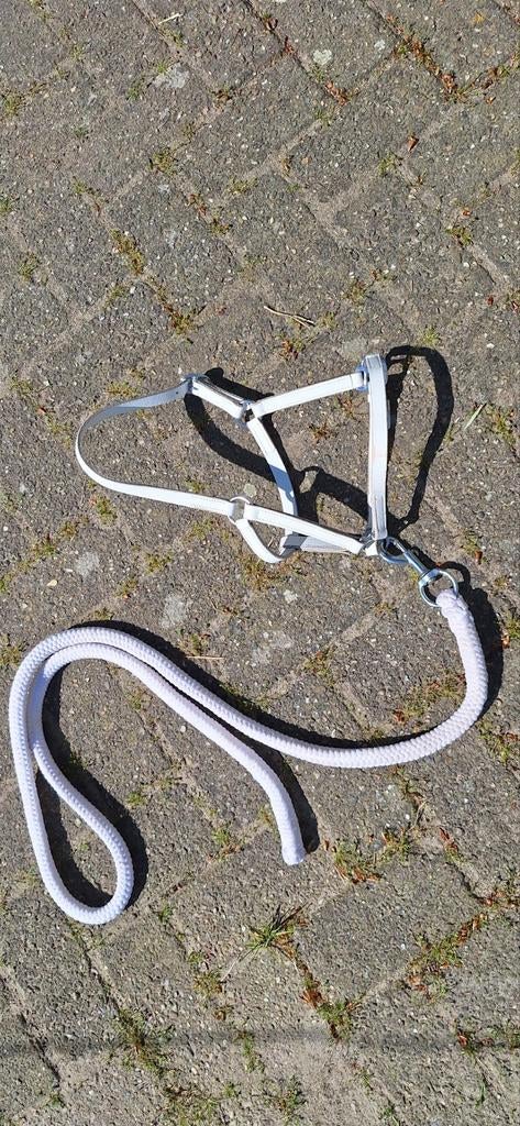 2 sets witte halsers en touwen voor Shetlanders, Dieren en Toebehoren, Paarden en Pony's | Verzorgingsproducten, Ophalen of Verzenden