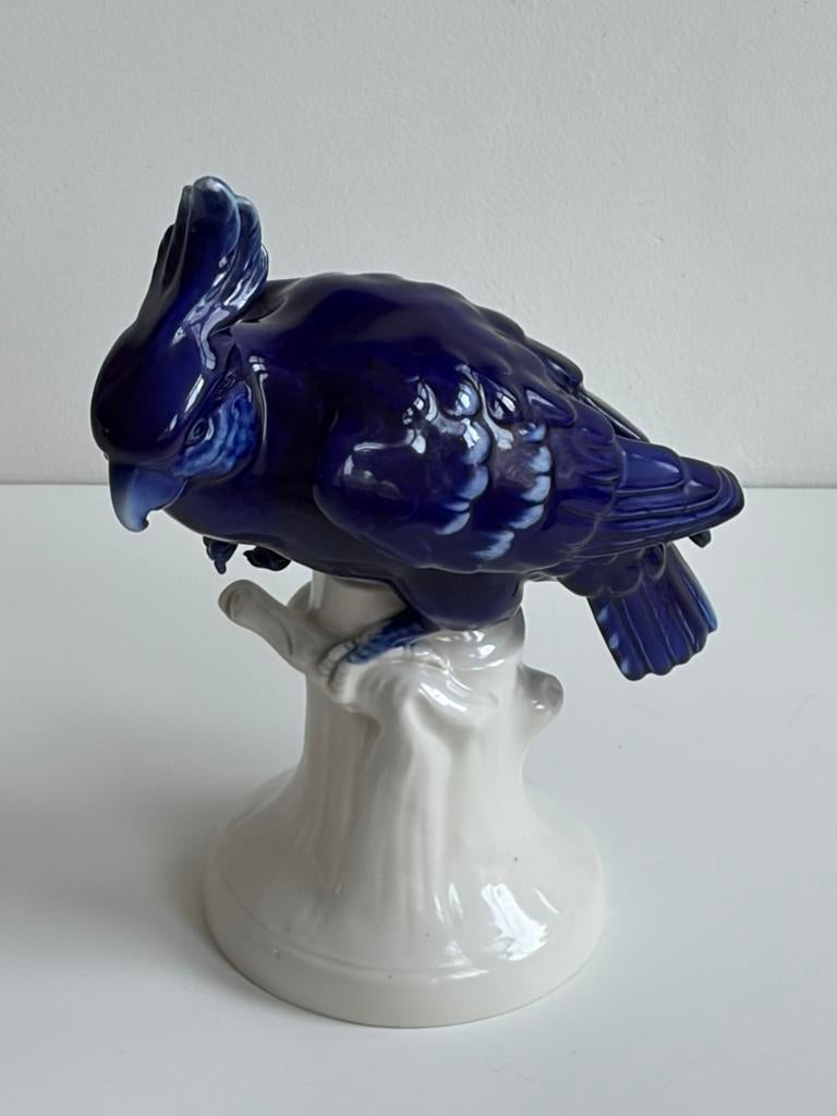 Sitzendorf Schaubach parrot 1800/1899, Ophalen of Verzenden