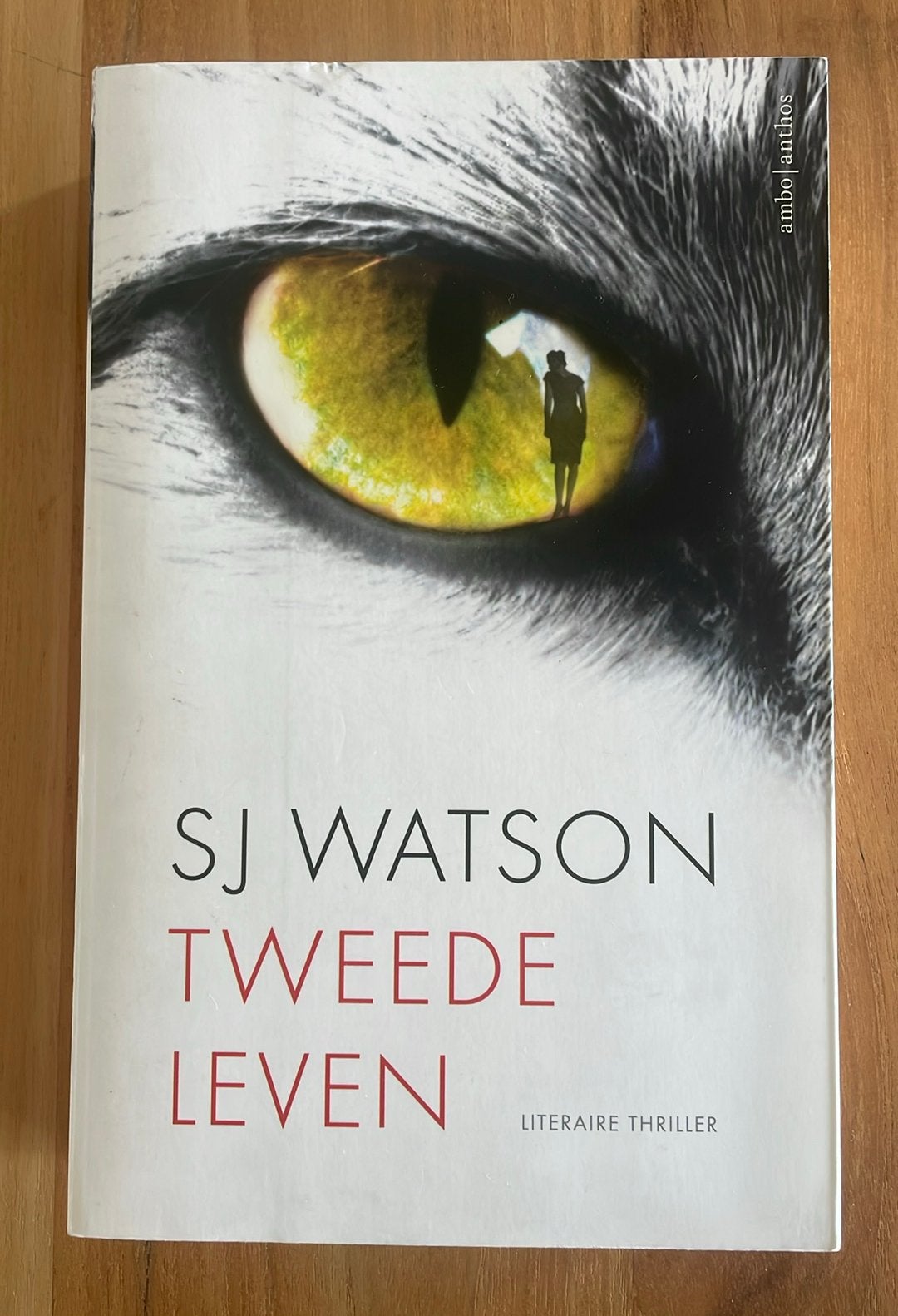 S.J. Watson - Tweede leven, Gelezen, Verzenden, S.J. Watson, Nederland
