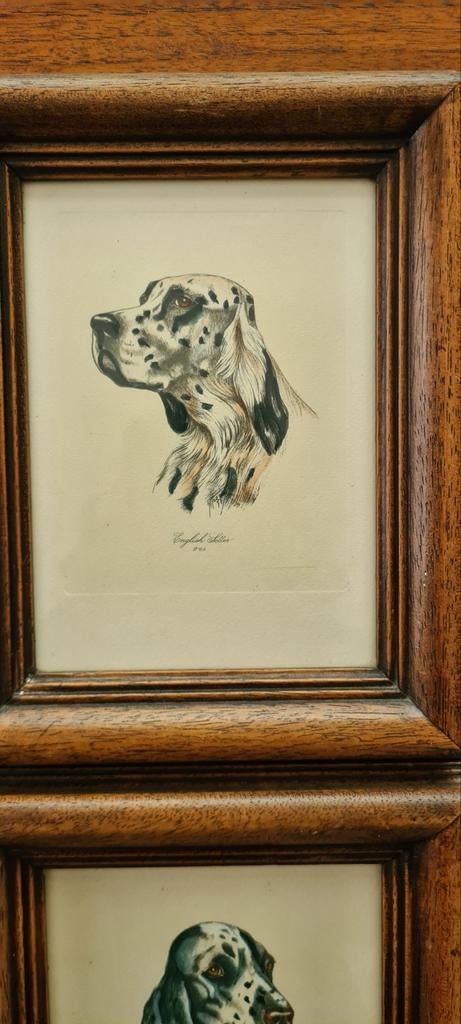Pentekening 3 Hondenrassen in lijst, Antiek en Kunst, Kunst | Tekeningen en Foto's, Ophalen of Verzenden