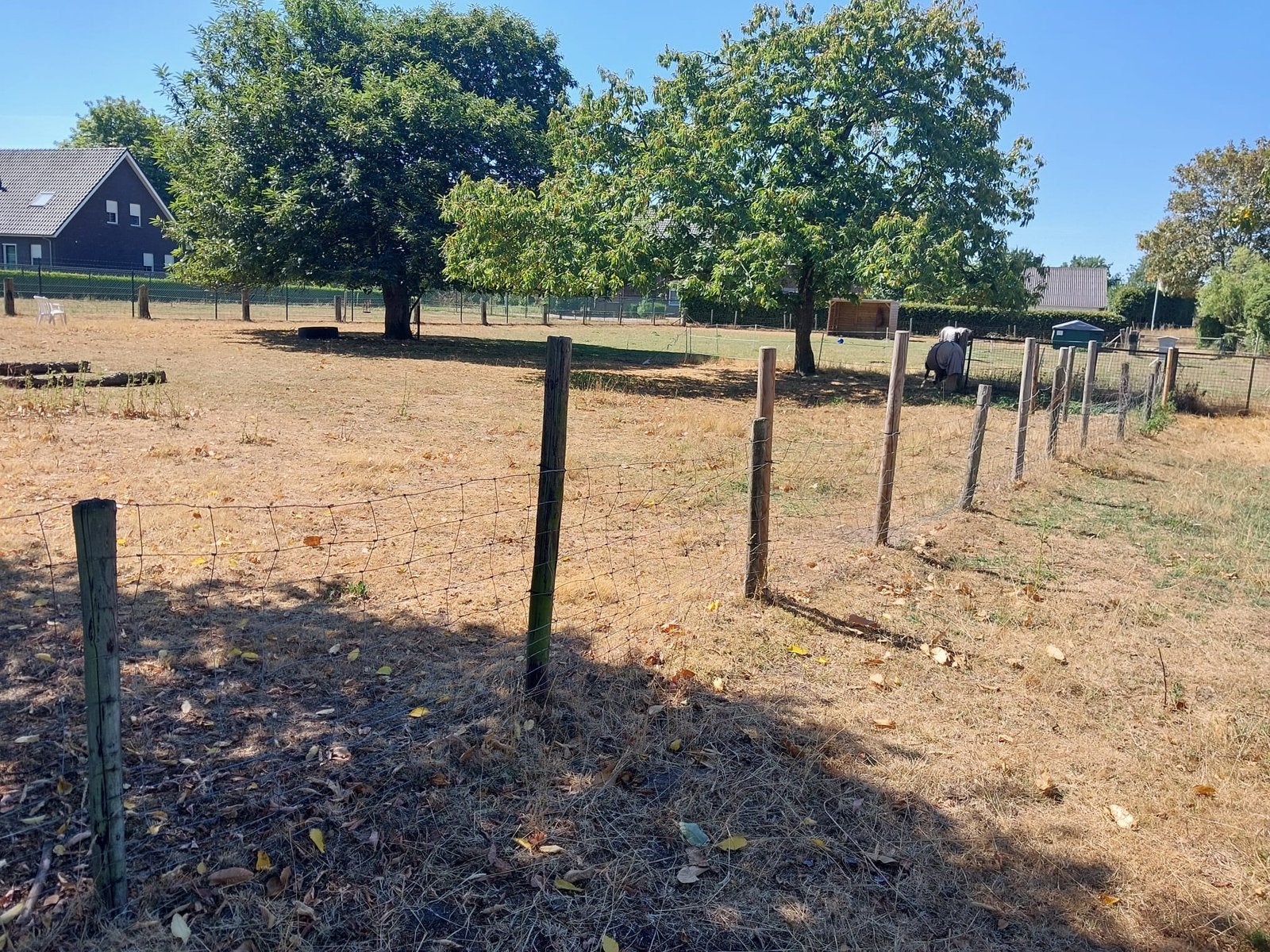 Gratis ophalen: 200 meter schapengaas en gebruikte palen, Ophalen, 6 meter of meer, Hout, 1 tot 2 meter