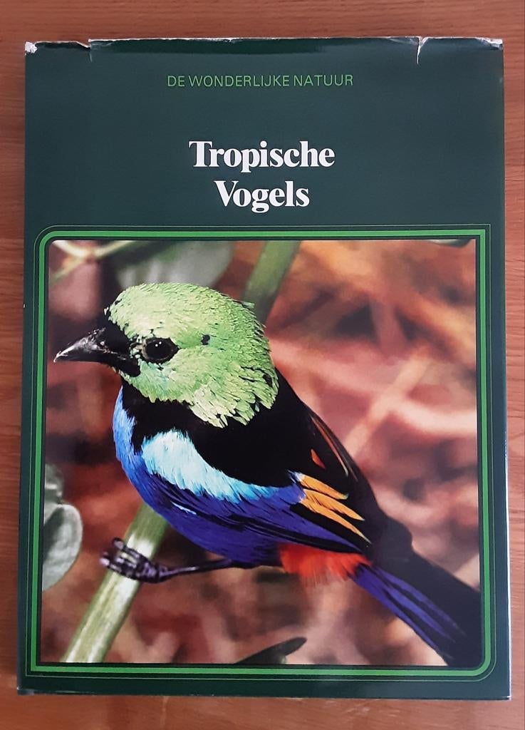 Boek Tropische Vogels - Lekturama Rotterdam kleurenfoto's, Boeken, Ophalen of Verzenden, Gelezen, Vogels, Onbekend