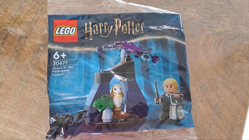 Lego Harry Potter 30677 Draco in het Verboden Bos, Ophalen of Verzenden