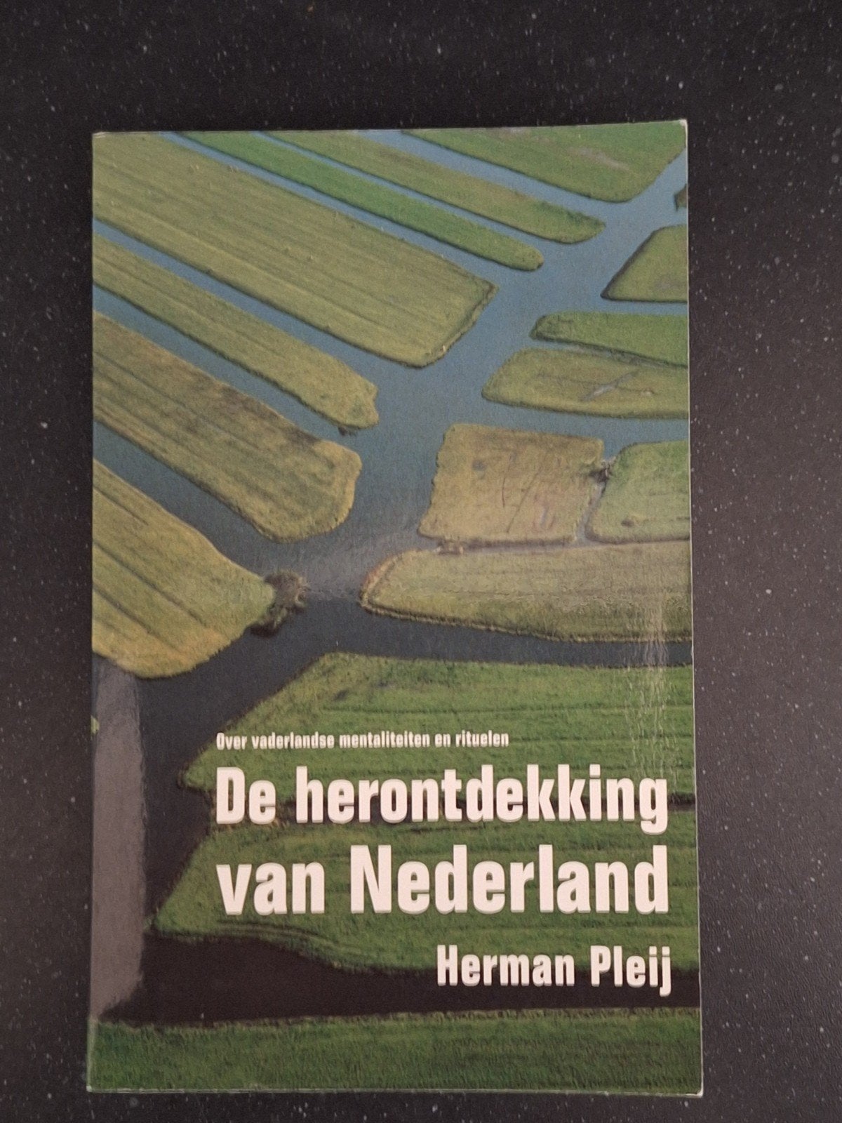 De herontdekking van Nederland - Herman Pleij (Nieuw), Boeken, Ophalen of Verzenden, 20e eeuw of later, Nieuw, Herman Pleij