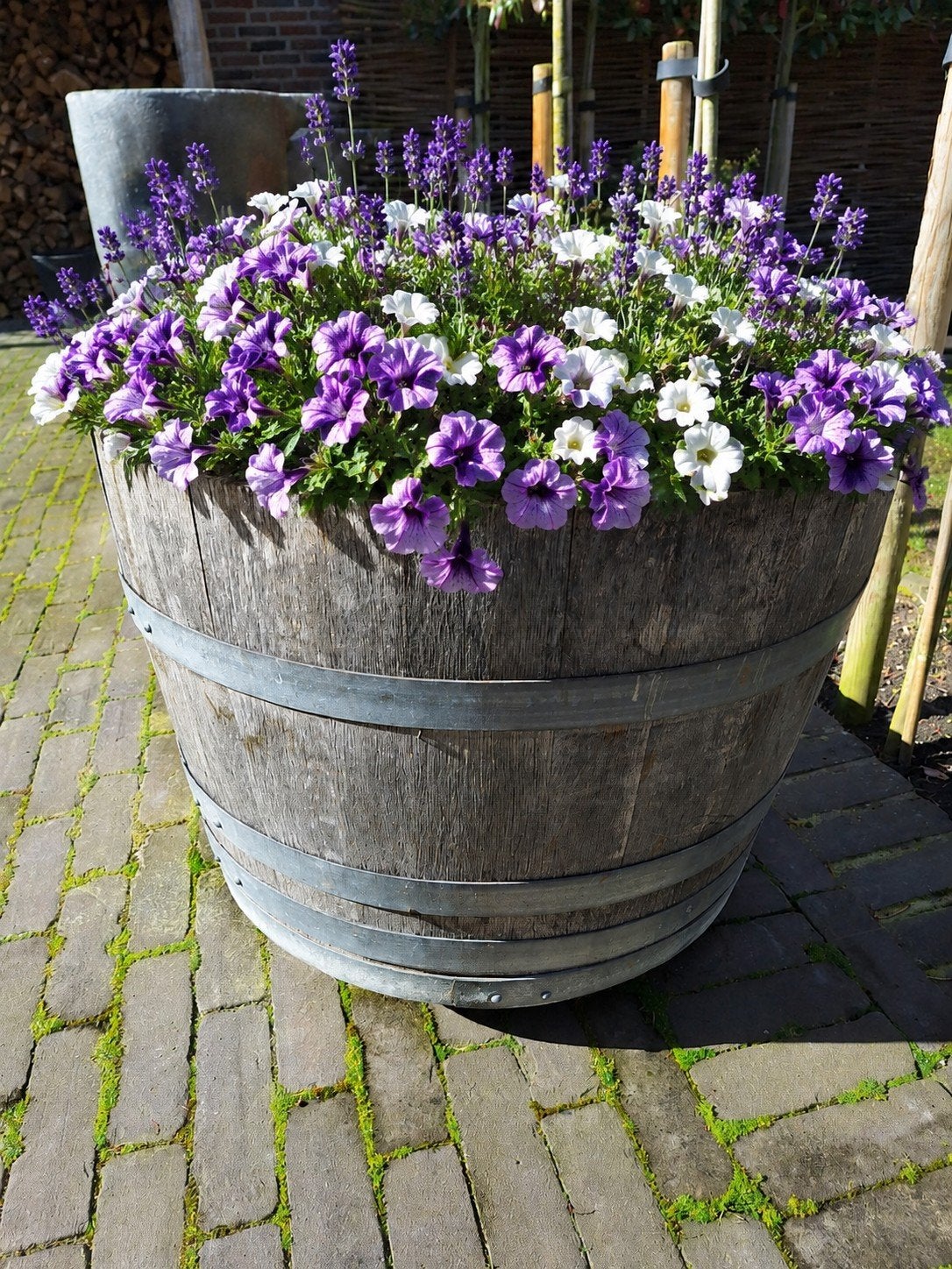 XXL WHISKEY EIKEN WIJNVAT MET WIELTJES  incl gratis kist, Tuin en Terras, Bloembakken en Plantenbakken, Zo goed als nieuw, Hout