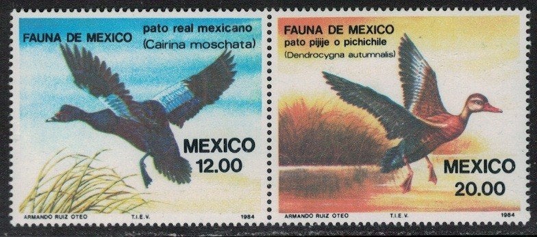 C14 Mexico 1893/94 postfris Vogels, Ophalen of Verzenden, Postfris, Dier of Natuur