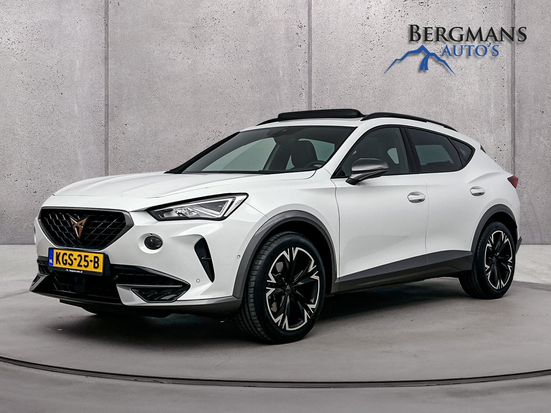 CUPRA Formentor // 1.5 TSI DSG // TREKHAAK // SCHUIFDAK // S, Auto's, Leder en Stof, Wit, Bedrijf, Automatische klimaatregeling