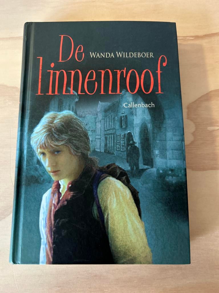 De linnenroof - Wanda Wildeboer, Ophalen of Verzenden, Zo goed als nieuw, Nederland