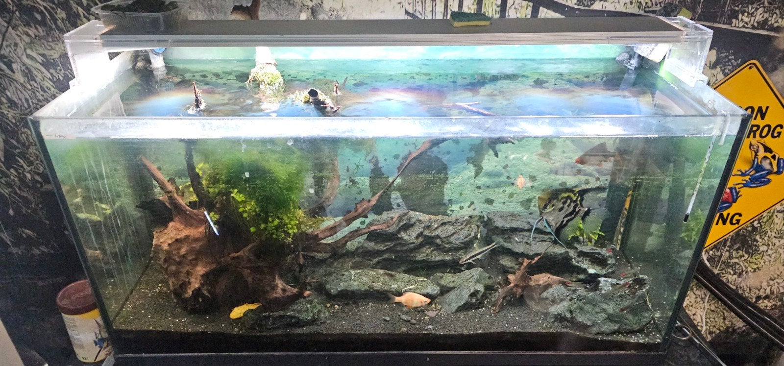 Aquarium met verlichting en buitenfilter, Ophalen, Zo goed als nieuw, Gevuld zoetwateraquarium