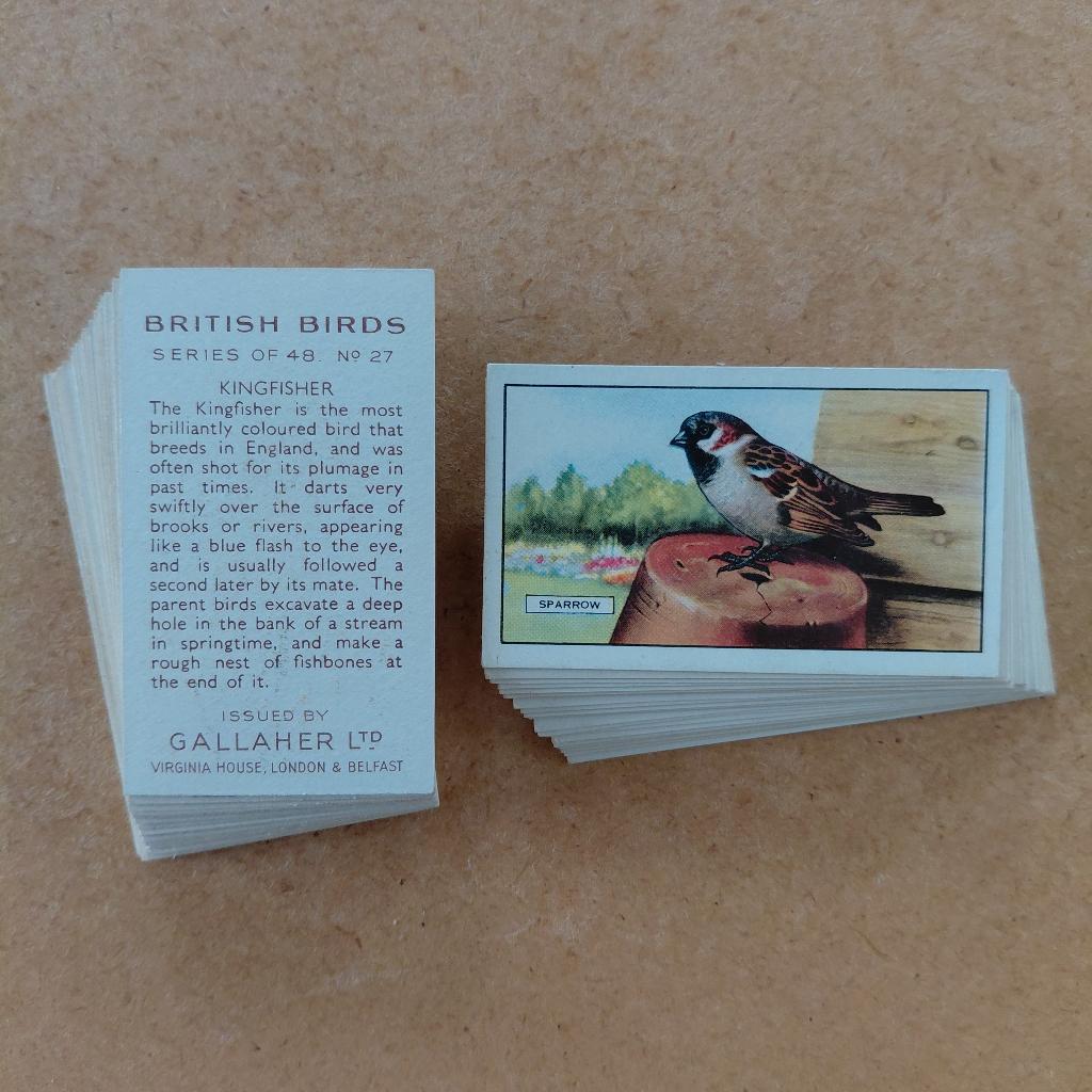 British Birds complete set 48 cigarette cards vogels 1937, Ophalen, Gebruikt