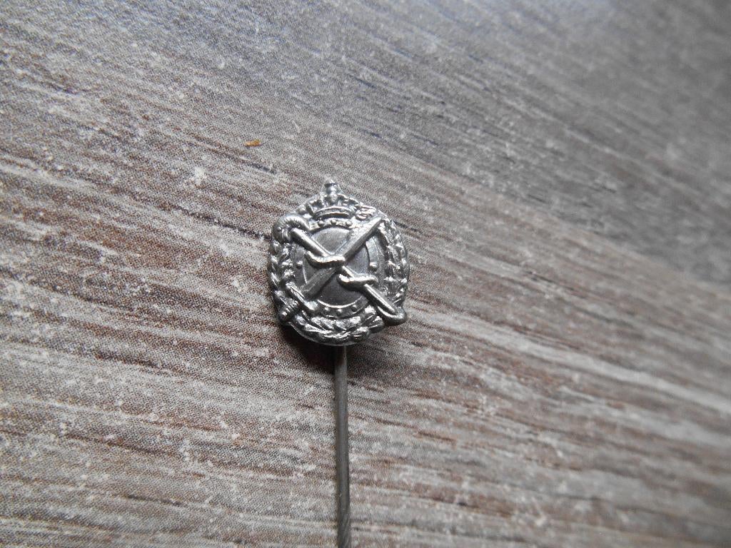 Regiment Geneeskundige Troepen insigne, Verzamelen, Militaria | Algemeen, Ophalen of Verzenden, Landmacht, Nederland, Overige typen