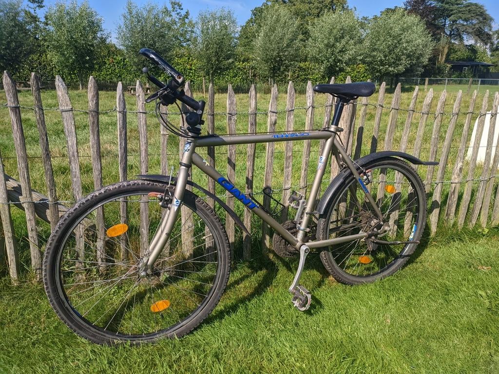 Giant Terrago Mountainbike - Goede Staat, Ophalen, Gebruikt, 26 inch, Velgrem