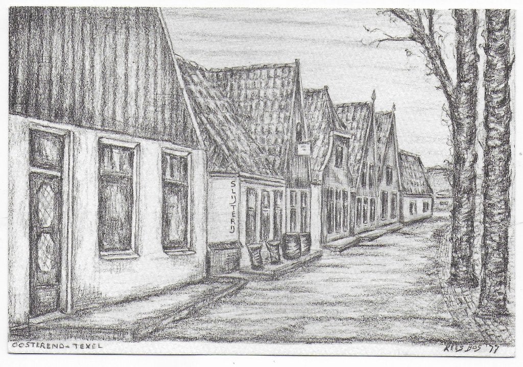 Texel Oosterend Ongelopen Ansichtkaart (B7918 ), Ophalen of Verzenden, Voor 1920, Ongelopen, Waddeneilanden