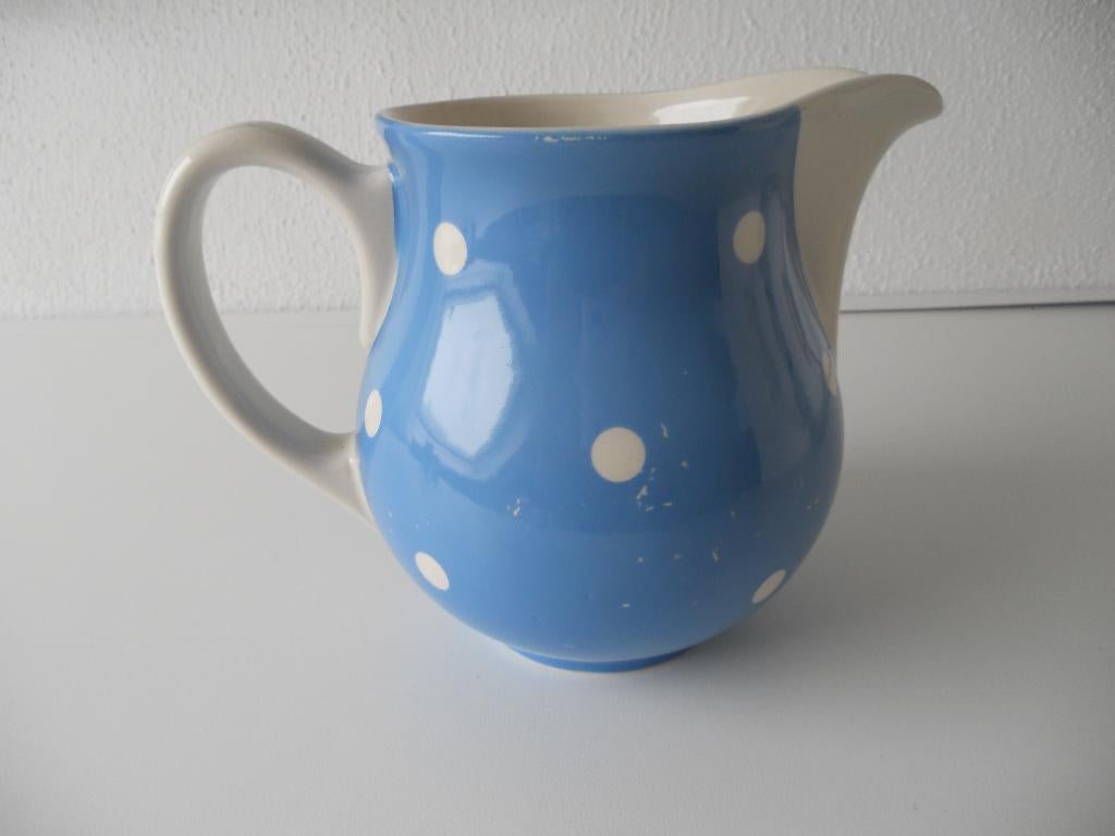 Regout blauwe stippenkan, Ophalen of Verzenden