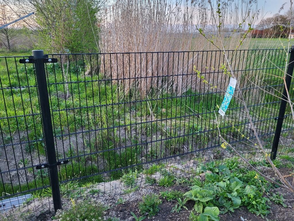 5 meter hekwerk, Ophalen, Nieuw, IJzer, Spijlenhekwerk