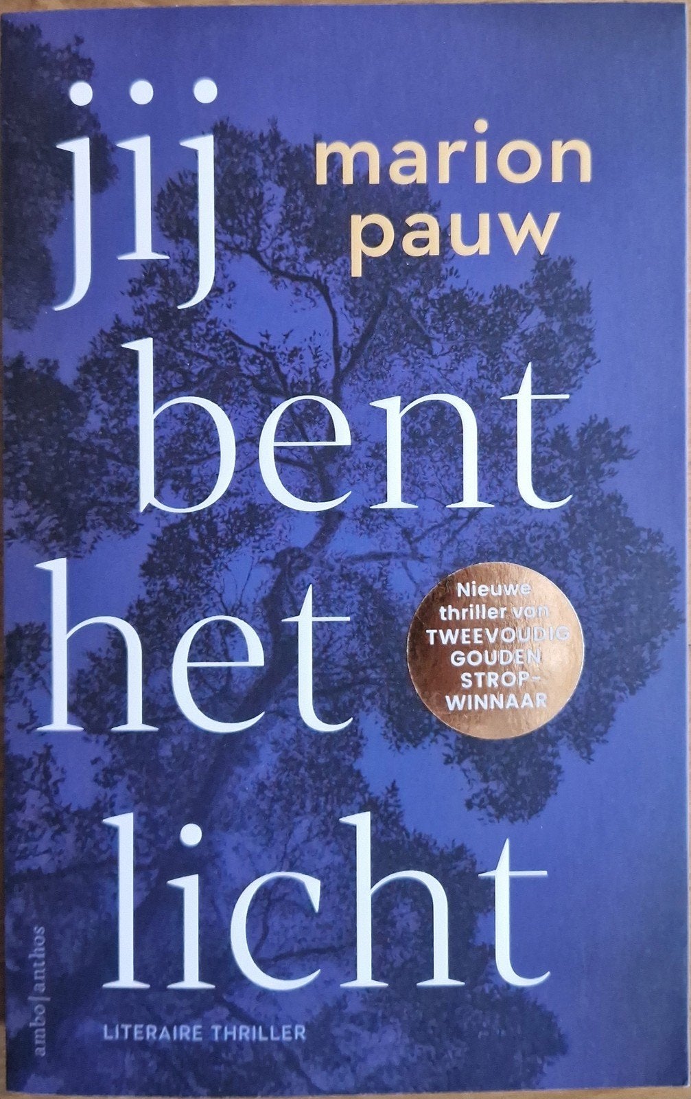Jij bent het licht - Marion Pauw (Literaire thriller), Boeken, Ophalen of Verzenden, Zo goed als nieuw, Marion Pauw, Nederland