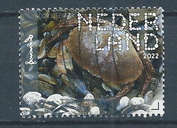 C423 – Nederland – Beleef de Natuur (2022) – gestempeld, Postzegels en Munten, Ophalen of Verzenden, Na 1940, Gestempeld
