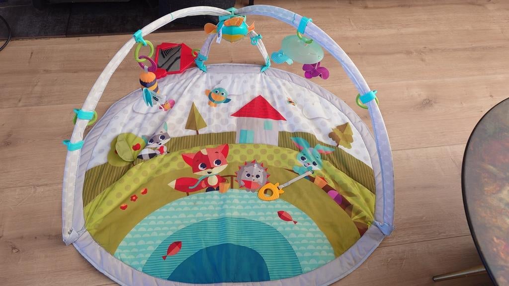 Babygym van tiny love, Ophalen of Verzenden, Gebruikt