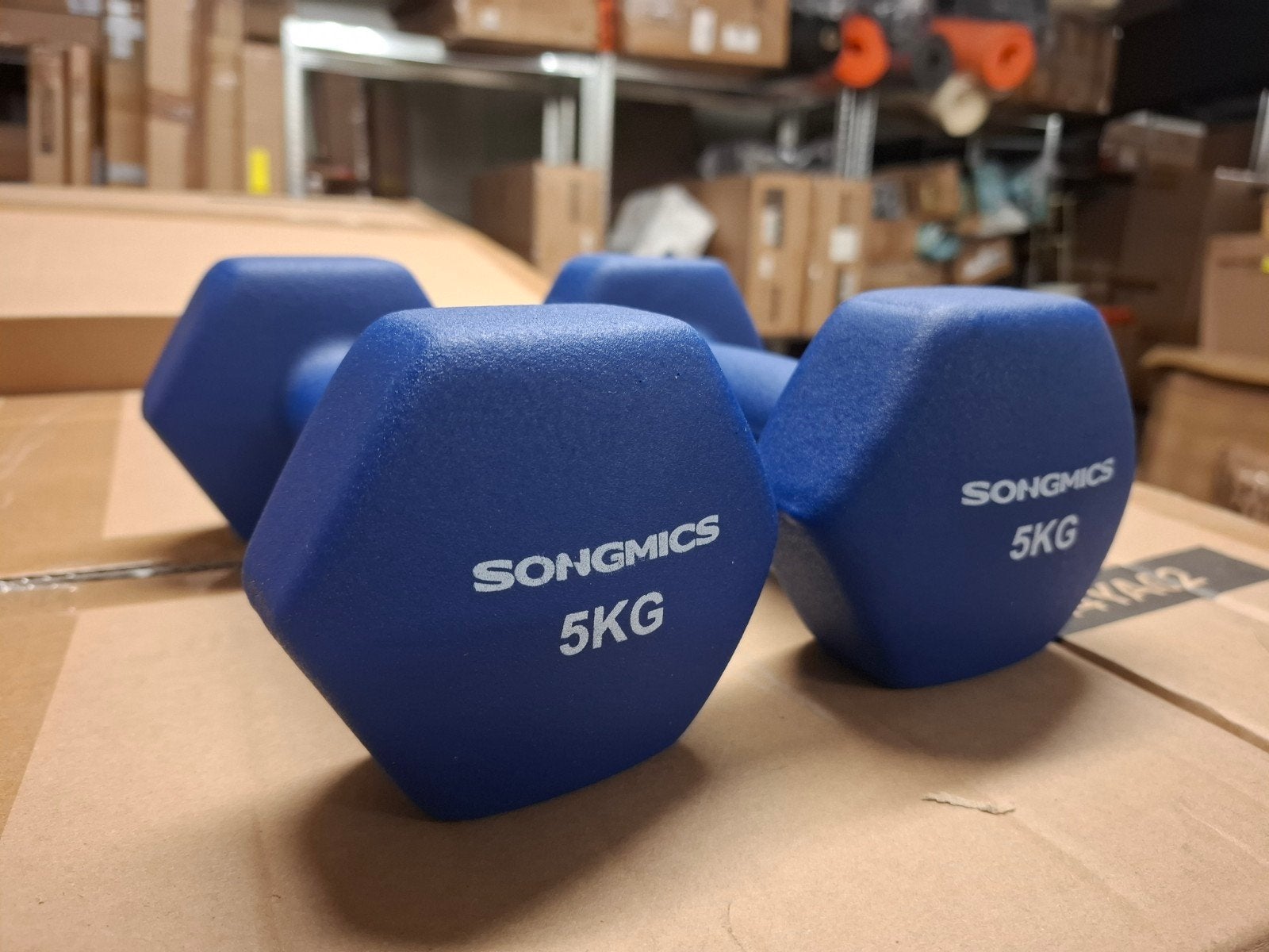 Songmics Dumbbells 5KG - Blauw (Set van 2), Ophalen of Verzenden, Nieuw