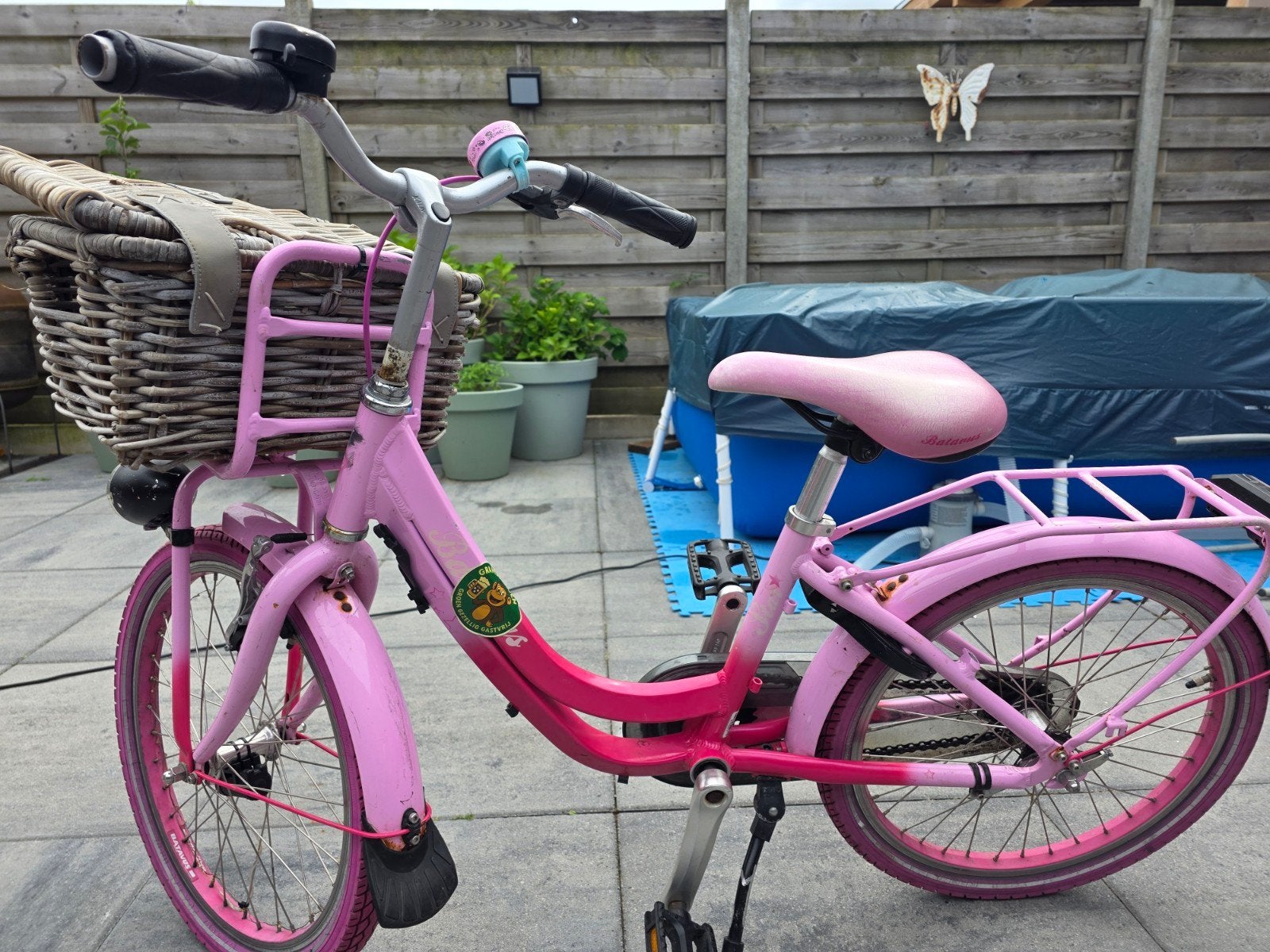 Meisjesfiets 20 inch, Ophalen of Verzenden, Gebruikt, 20 inch of meer