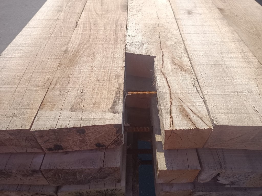 Draglineschot beuken voor loopbrug schotten 100x500 cm, Nieuw