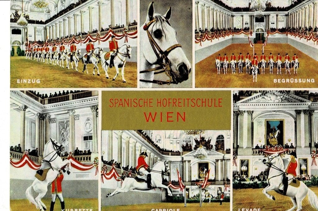 Oude ansichtkaart Spaanse Rijschool Wenen, Verzamelen, Verzenden, 1960 tot 1980, Gelopen, Oostenrijk