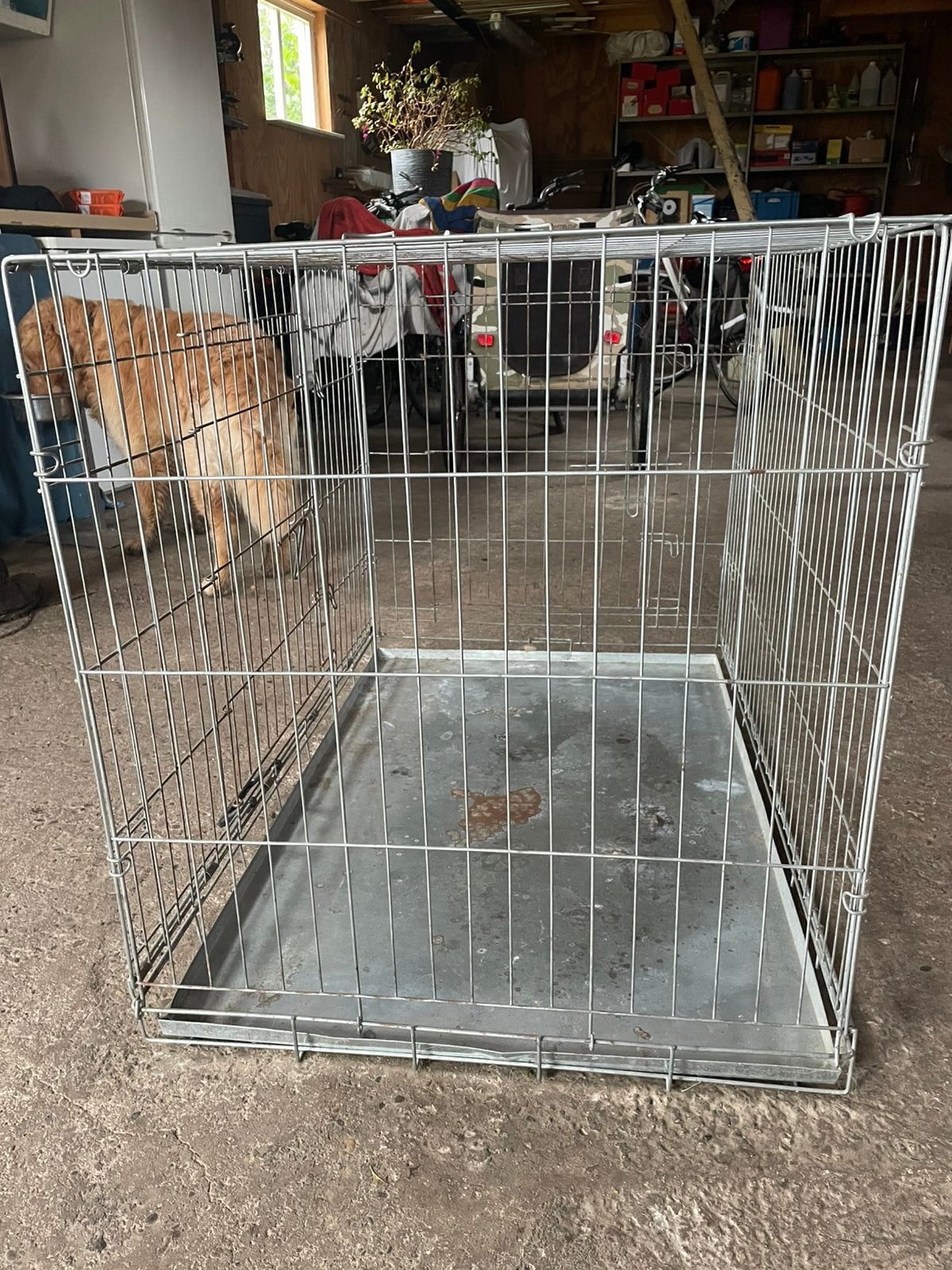 Honden bench, Ophalen, Zo goed als nieuw, 75 tot 110 cm, Minder dan 65 cm