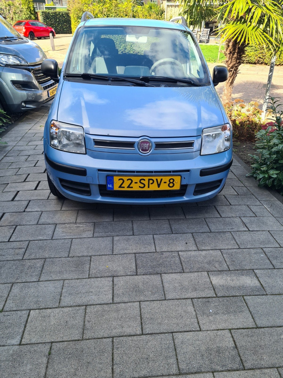 Fiat Panda 1.2 2011 Blauw, 1242 cc, Origineel Nederlands, Handgeschakeld, Particulier
