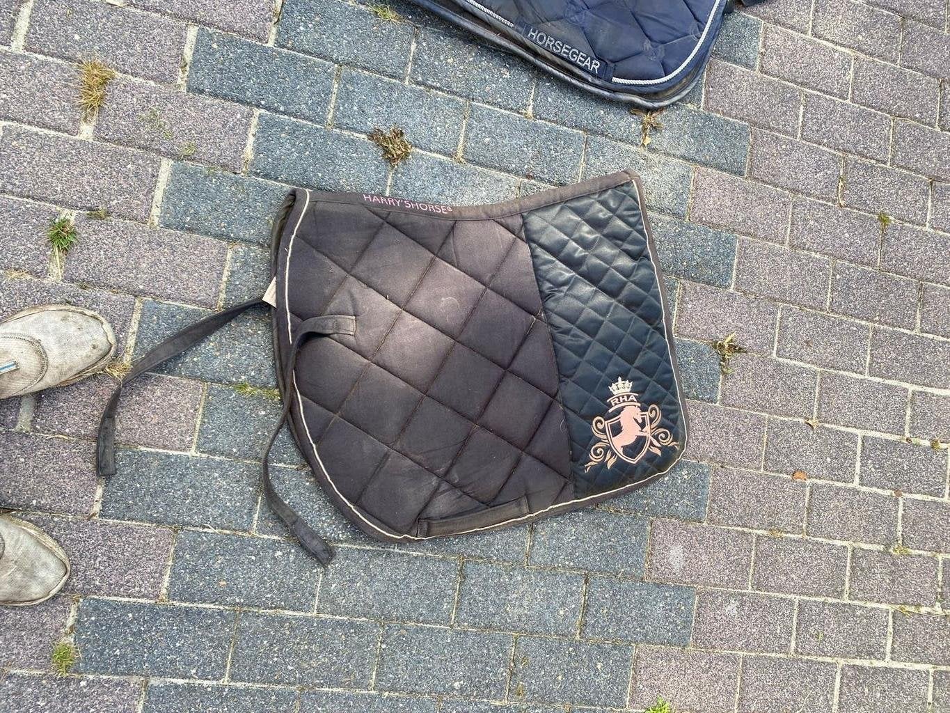 Meerdere sjabrakken, Dieren en Toebehoren, Ophalen