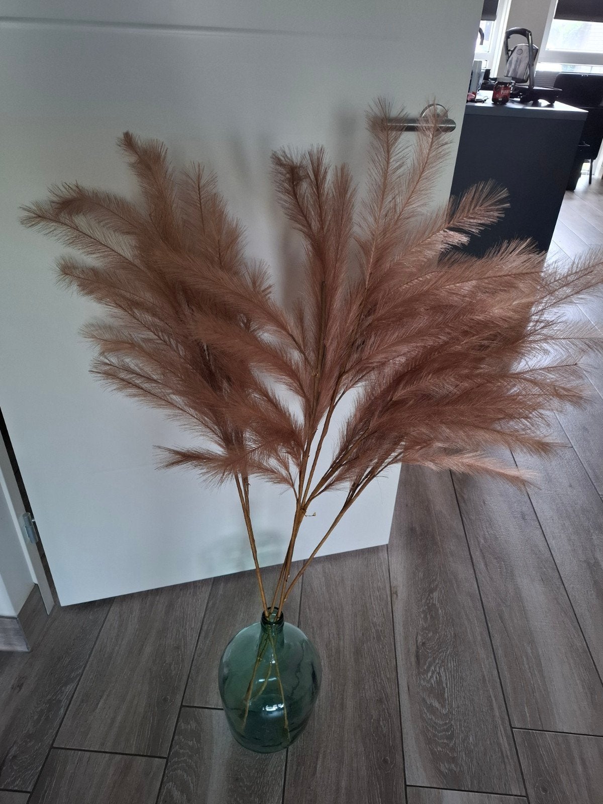 Kunst Pluimen  ., Ophalen of Verzenden