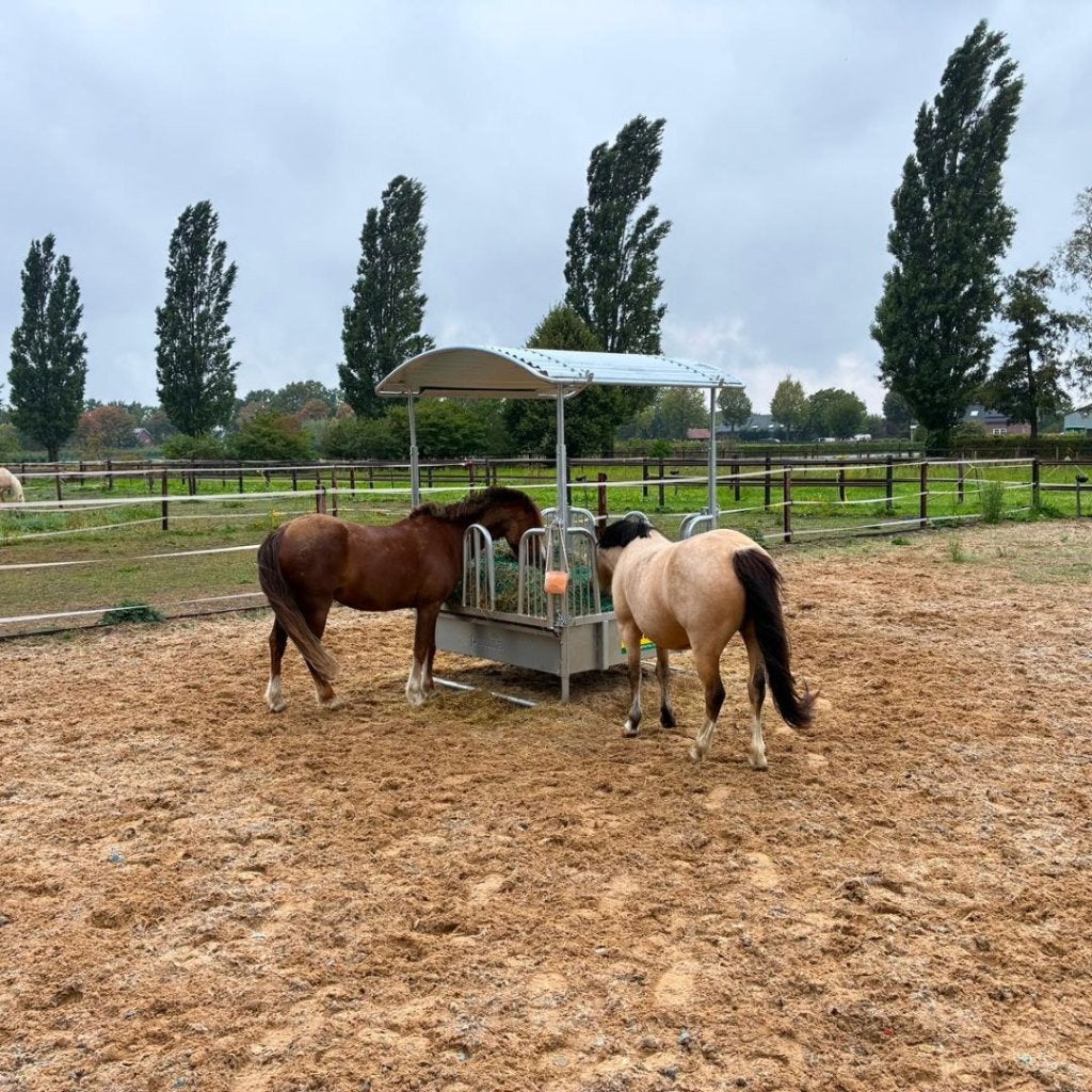 Vierkante slowfeeder ruif met dak en met 8 voerplaatsen, Dieren en Toebehoren, Patura, -, Info@patura.com, 4 paarden of pony's of meer