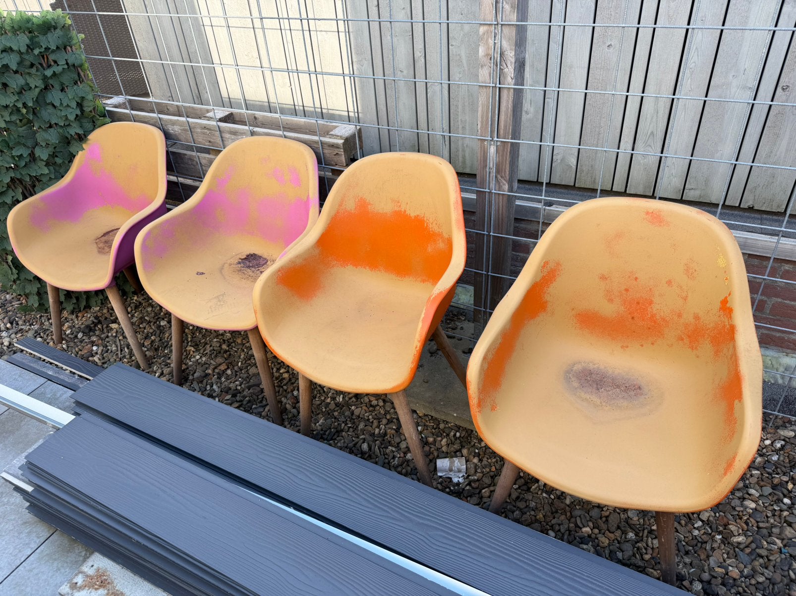 Tuin stoelen, Meerdere dieren, Overige soorten