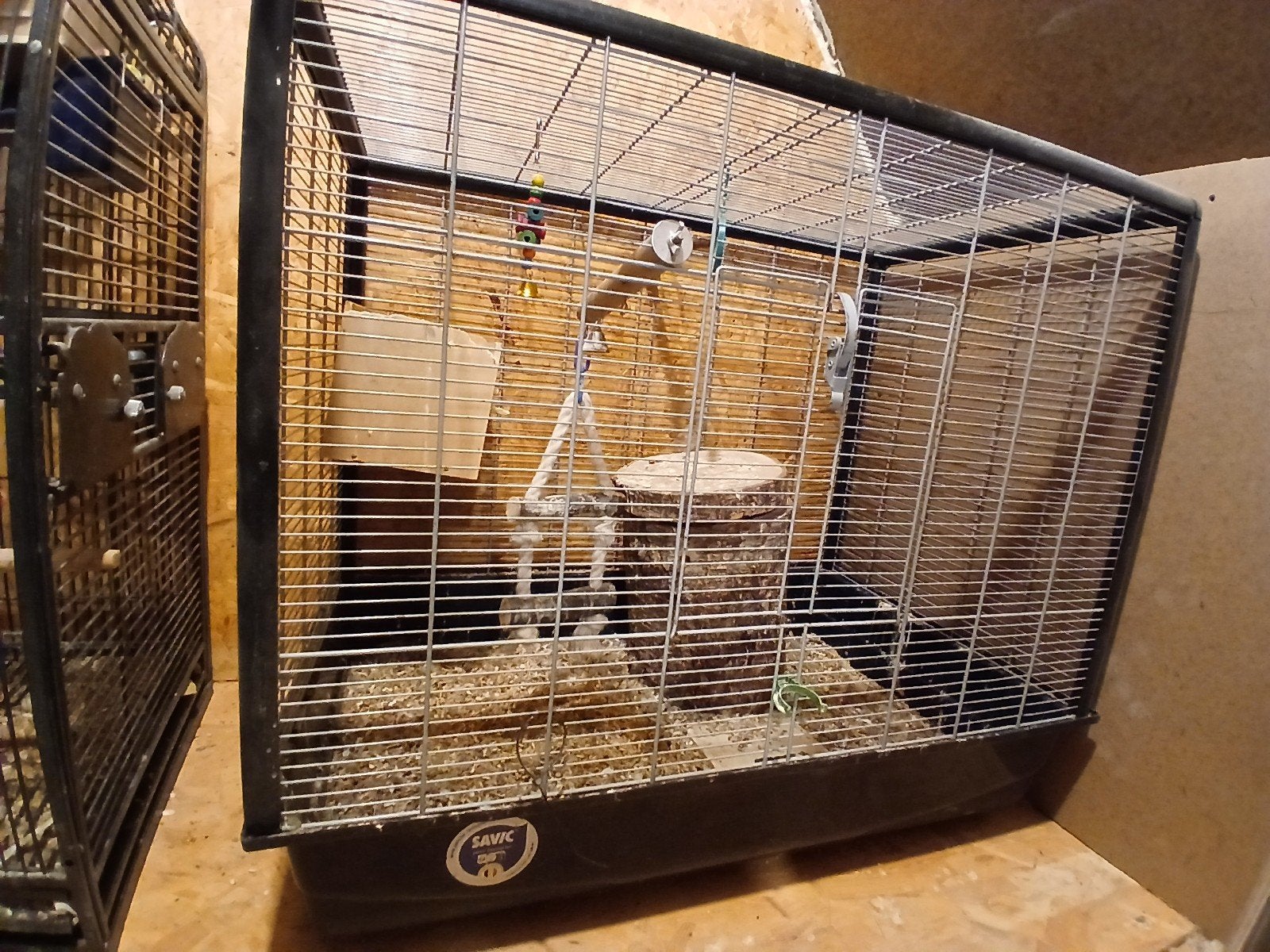 een kooi, Dieren en Toebehoren, Vogels | Hokken en Kooien, Ophalen of Verzenden, Kunststof, Vogelkooi
