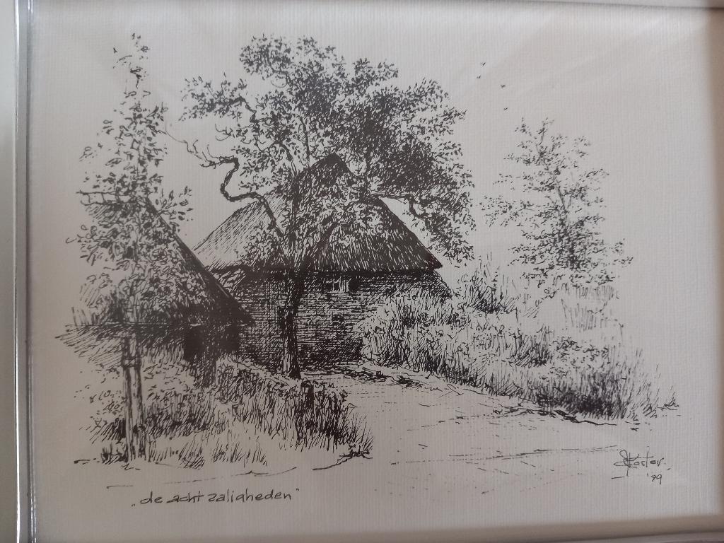 Prenten Kees Koster Midden en Oost-Brabant Tilburg e.o., Natuur, Gebruikt, 1980 tot heden, Ophalen of Verzenden