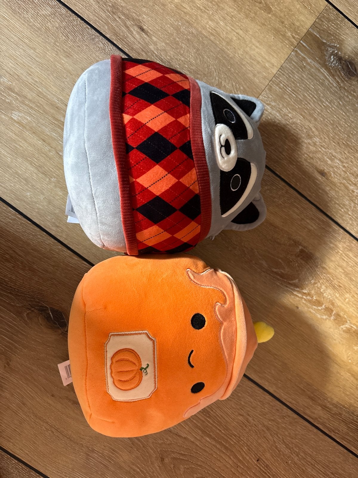 Squishmallows wasbeer en pompoen knuffels, Kinderen en Baby's, Speelgoed | Knuffels en Pluche, Ophalen, Overige karakters, Overige typen