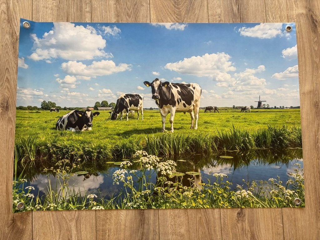 Tuinposter Koeien in Weiland - 90 x 60cm, Info@decoraties.nl, Decoraties.nl, Verzenden, Nieuw