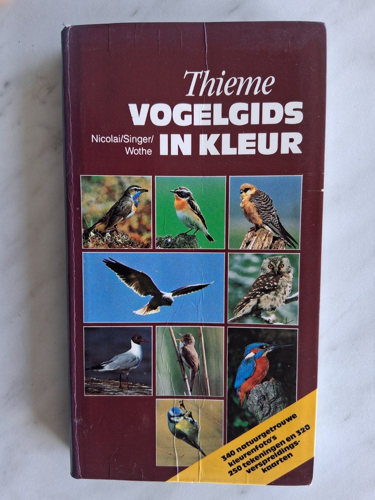 Thieme VOGELGIDS IN KLEUR Nicolai/Singer/Wothe, Boeken, Nicolai  e.a., Ophalen of Verzenden, Zo goed als nieuw, Vogels