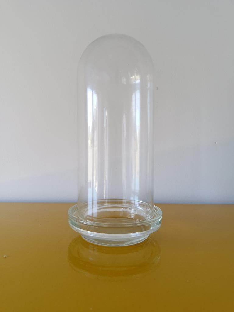 Glazen stolp met schaal - 18,5 cm hoog, 13,5 cm breed, Huis en Inrichting, Woonaccessoires | Stolpen, Ophalen of Verzenden