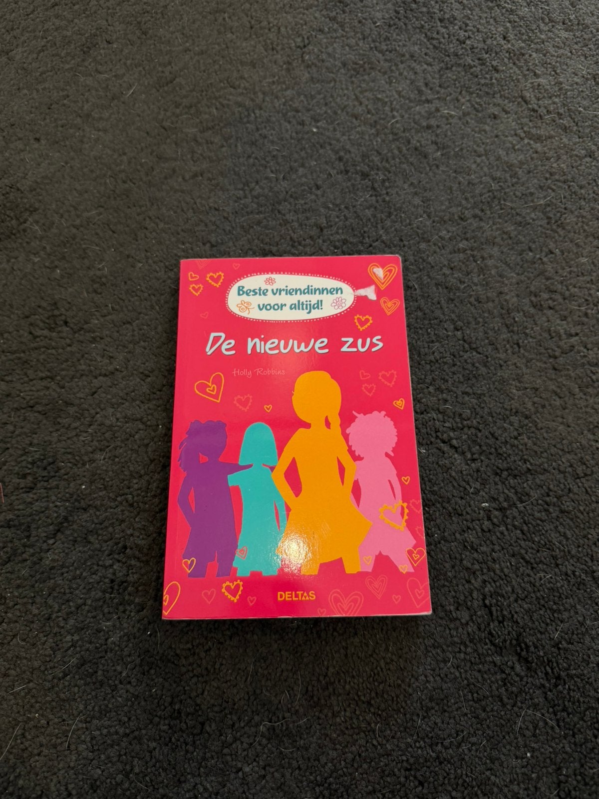 Leesboek De nieuwe zus Holly Robbins nieuw!!, Boeken, Ophalen of Verzenden, Nieuw, Fictie