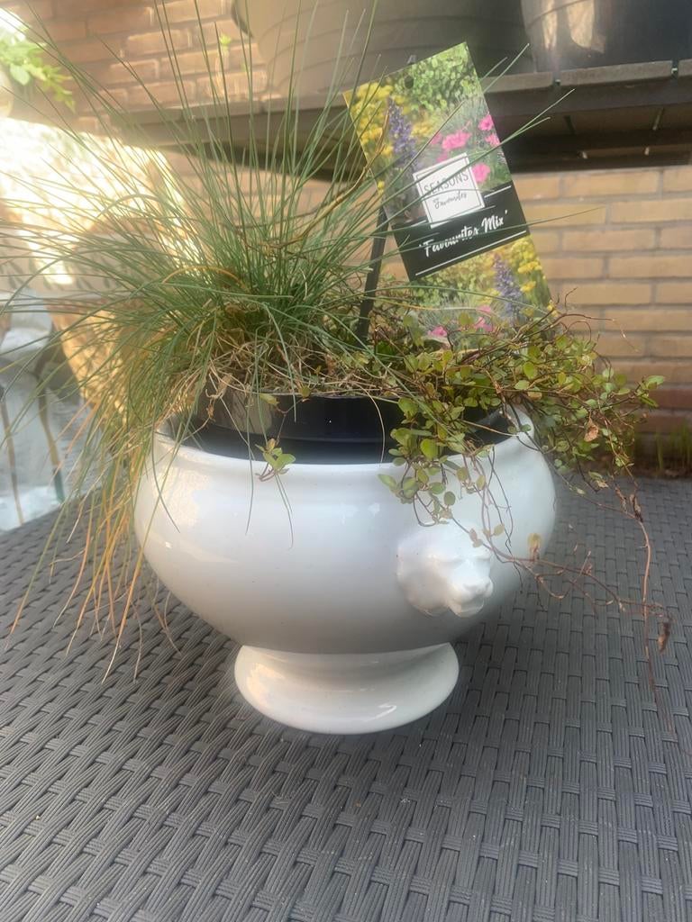 Witte plantenpot met leeuwenkop Alt Schönwald, Ophalen of Verzenden, Gebruikt, Porselein