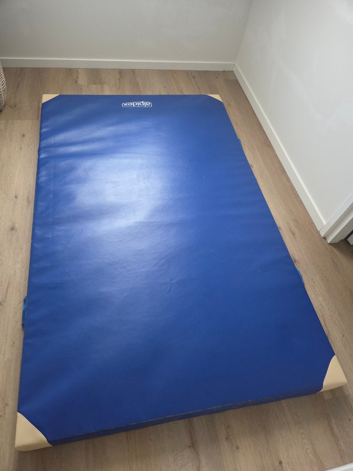 Alpidex Fitnessmat / Turnmat - Blauw, Ophalen, Zo goed als nieuw, Benen, Fitnessmat