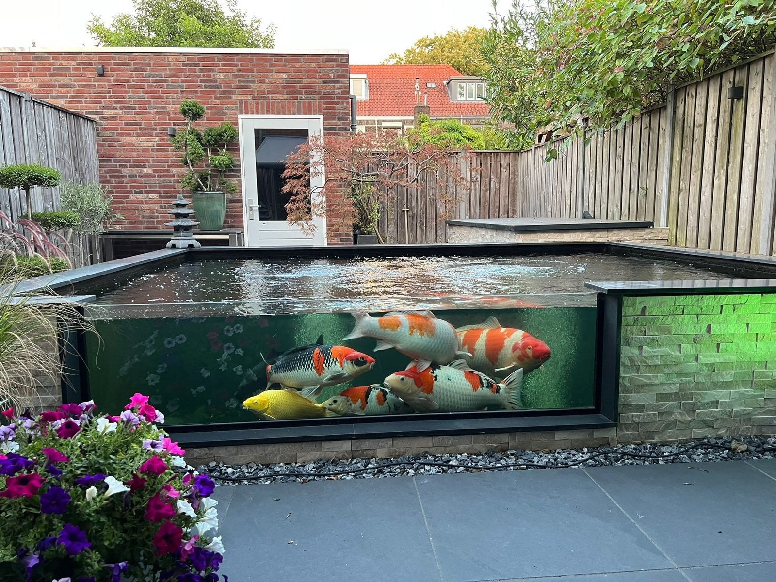Vijverramen + vijverraam frames voor uw koi | vijverfolie, Ophalen, Nieuw, Overige typen