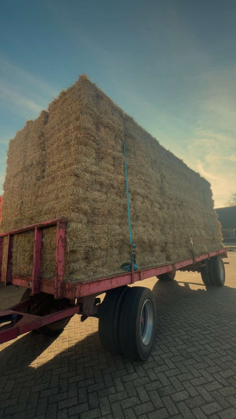 Hooi kleine pakjes 20 kg laag in suiker bezorgen mogelijk, Dieren en Toebehoren, Ophalen of Verzenden, Vee